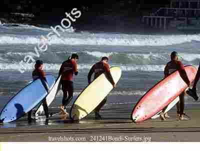241241Bondi-Surfers.jpg
