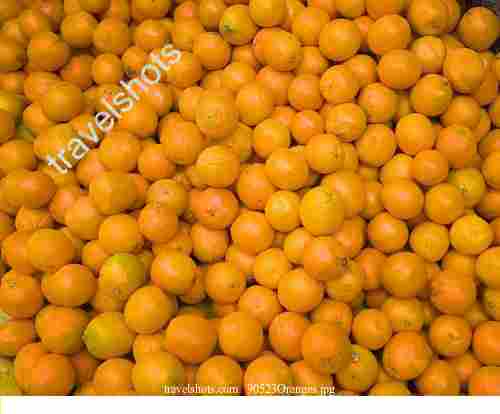 90523Oranges.jpg